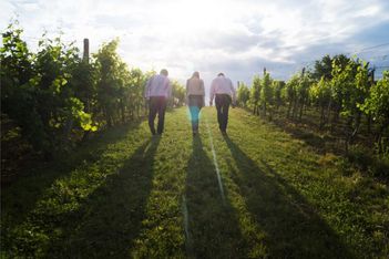 CINZ’s annual conference focuses on sustainability