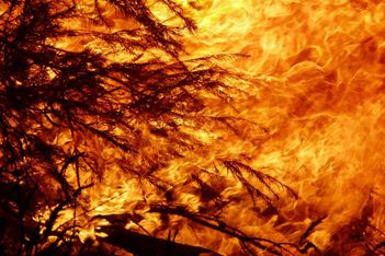 Don't be put off by fires, Australia tells tourists