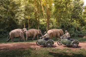 Hotel ride gets royal kickstart in Thai jungle