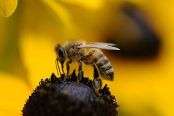 How to Create Buzz Around Your Next Event