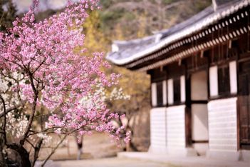 KTO names 30 ‘unique MICE venues’