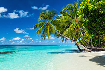Beach incentives_ap