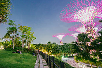 Hot Idea: Discover the Secret Life of Trees