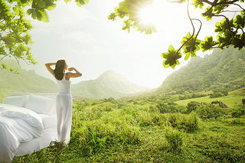 Wellness: Seize the day!