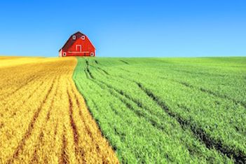 How to sow seeds for future sales