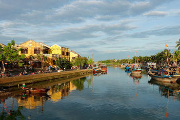 A rose blooms in Hoi An