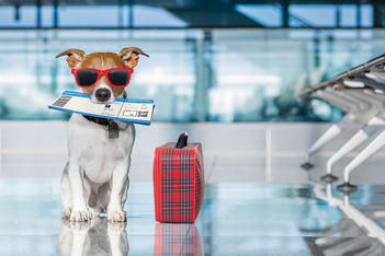 Escape the Ordinary