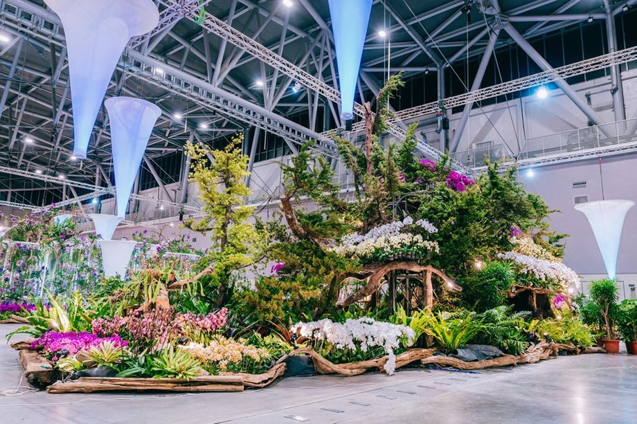 Flower diplomacy: orchids are one of Taiwan's important export floricultural products.