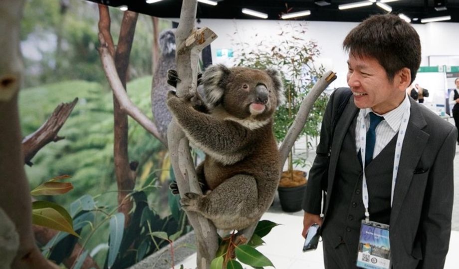 Chinese delegates appear to be returning to Australia in larger numbers.