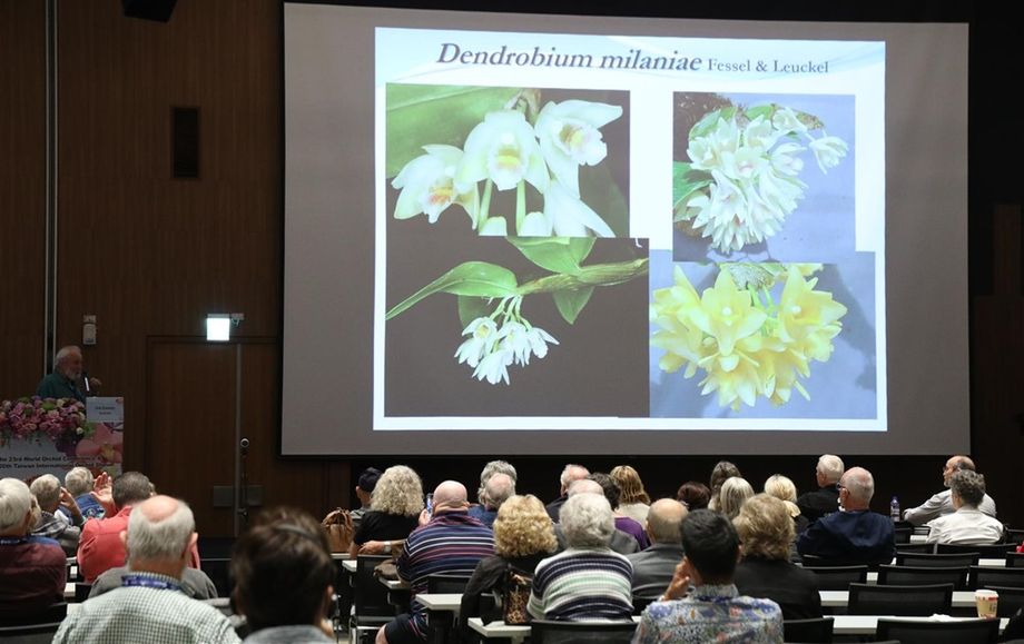 At the 23rd World Orchid Conference and Exhibition included discussions such as orchid conservation, history, culture, academic research, and practical applications.