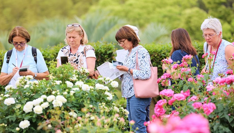From rose conventions to fishing traditions, Japan is turning business events into catalysts for regional renewal and community impact.