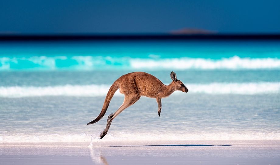 Beyond being a high-yield segment, business events also support year-round tourism in Australia.