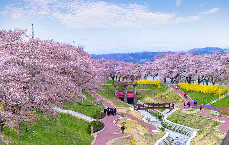 With groups becoming increasingly well-travelled, demand has grown for more traditional, authentic experiences in Japan.