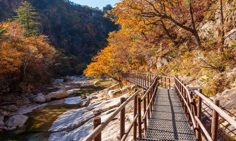 Natural beauty at Gangwon