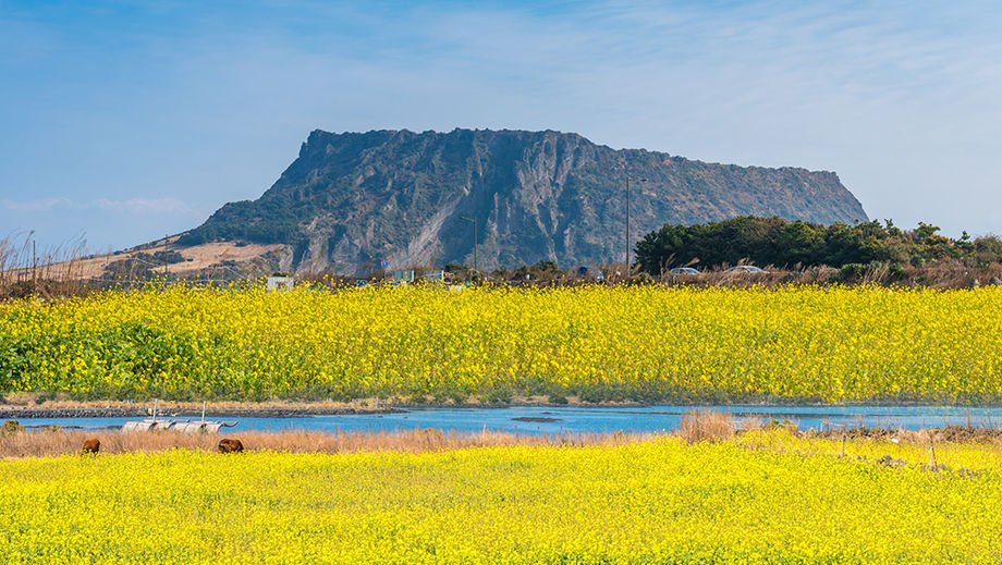 Jeju aims to transform itself into a carbon-neutral island by 2030.