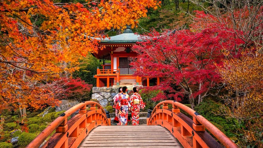 Plan a picturesque incentive itinerary to Daigoji Temple, a World Heritage Site.