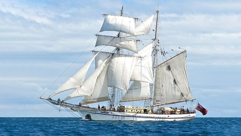 Optional tours include a cruise on ONE & ALL, a vessel offering day and sunset experiences.