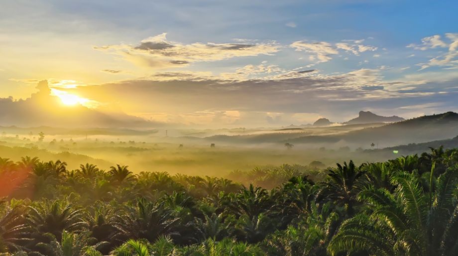 Sabah also passed the Climate Change and Carbon Governance Enactment 2025 in July last year.