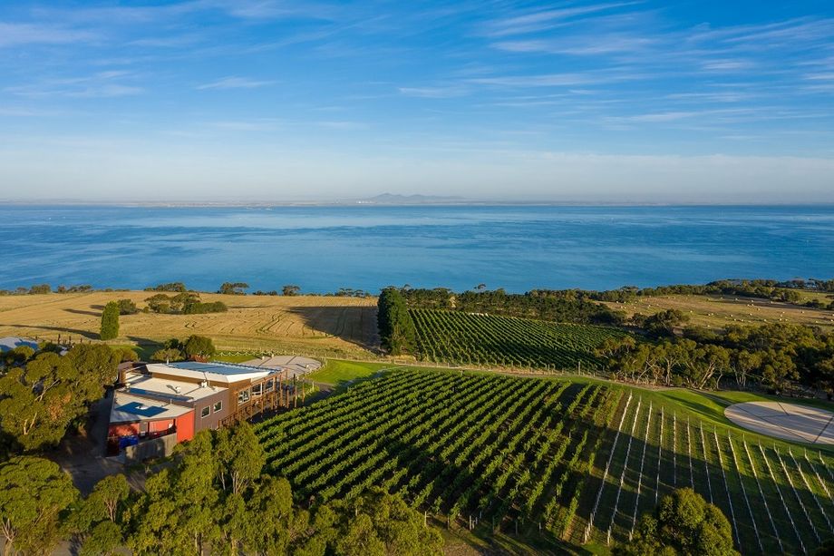 The Jack Rabbit Vineyard in Bellarine, Geelong, provides a short ferry and helicopter ride to central Melbourne, offering guidance on wine and food pairing.