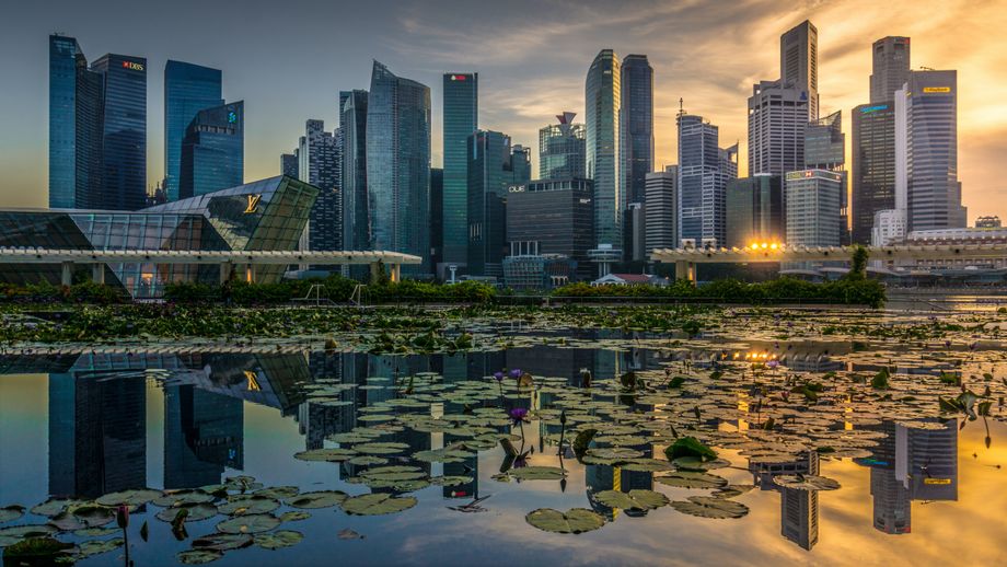 Tourism recovery brightens Singapore's economy, driving rates up for hotels to record highs.