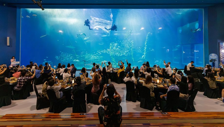 Spotlight on Jeju’s MICE potentials as the trade event placed event professionals in the seats of unique venues.