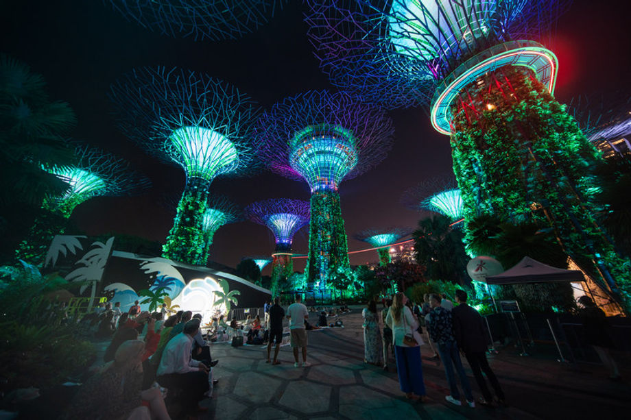 Private viewing of the Supertree light show at Gardens by the Bay.