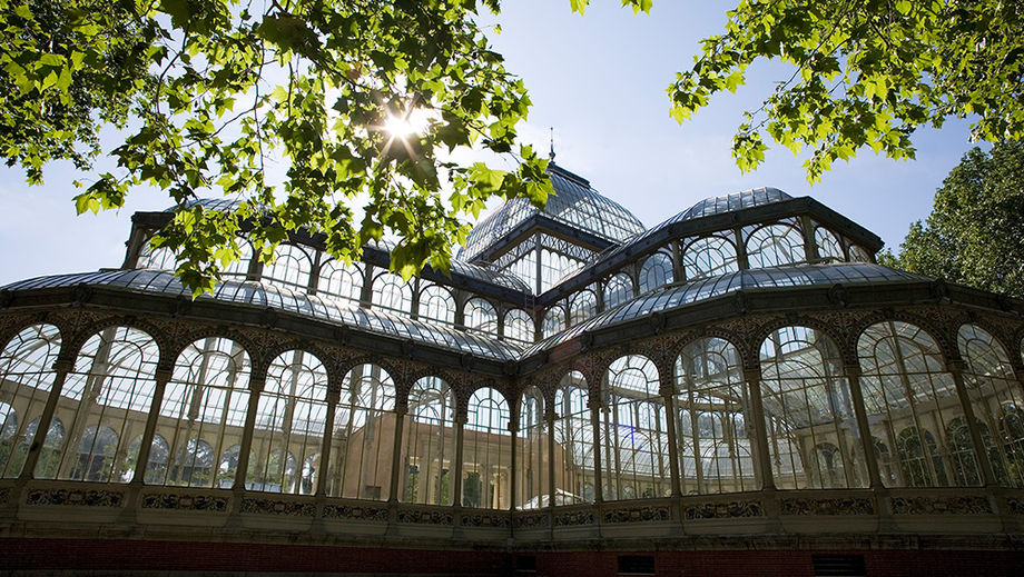 Over 55% of Madrid's streets are tree-lined, with 300,000 trees improving air quality and ranking the city second globally for leafy streets.