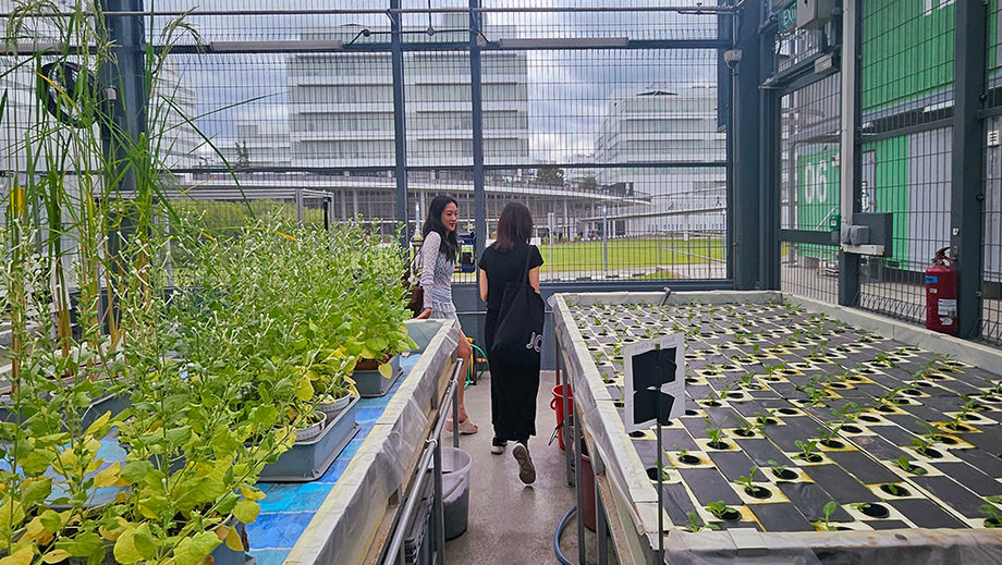 The Future Farm Experience takes delegates to a greenhouse, agriculture laboratory and other scientific test beds at Republic Polytechnic.
