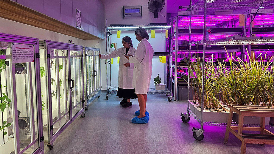 Gain insider access to frontier agricultural methods as they are being studied in laboratories and greenhouses outside of public view.