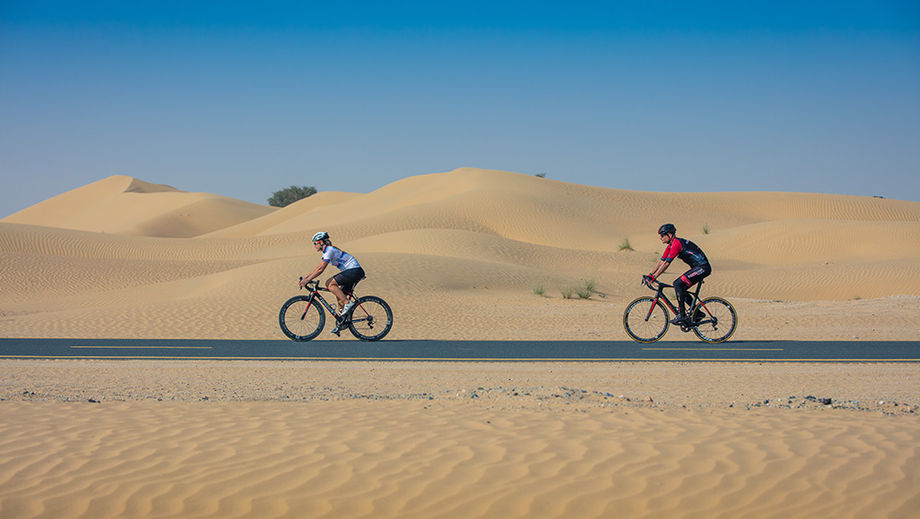 With a focus on enhancing the quality of life, the Dubai 2040 Urban Master Plan prioritises access to green spaces and natural areas for residents and visitors.