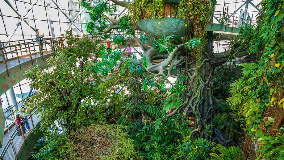 As a step towards fostering sustainable economic growth, the emirate has launched the Dubai Green and Sustainable Industry Plan, aimed at environmental protection, resource preservation, and substantial investment in eco-friendly energy sources.