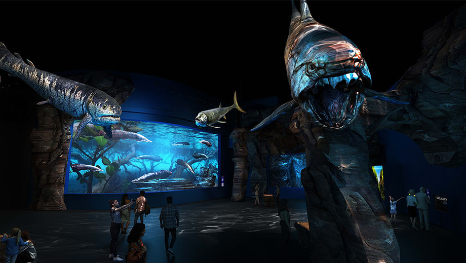 Journey through 22 immersive zones in an epic oceanic experience across time and space, from the shallow waters to deep-sea wonders.