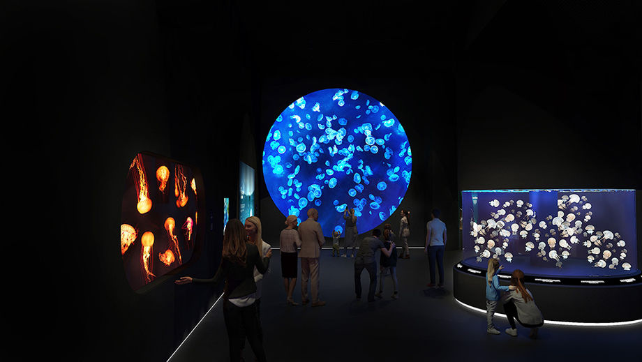 The Singapore Oceanarium is one of the many enthralling attractions at Resorts World Sentosa, which houses a myriad of event spaces, hotels, eateries and shops for an all-in-one MICE experience.