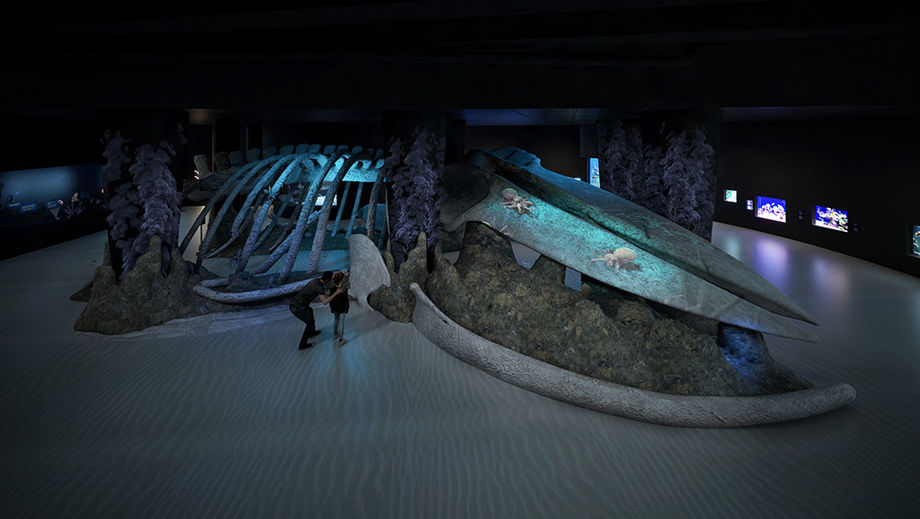 FA_250403_Whale Fall-Sea-Mount_architecture-250620
