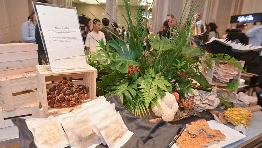 At GSTC2024, Equarius Hotel used repurposed mushrooms used as table displays for cooking after the event.