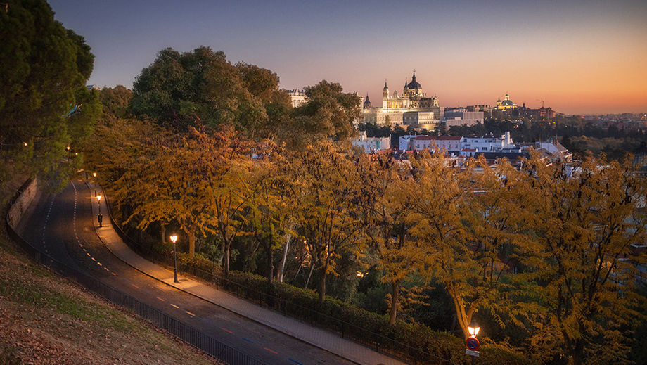 Madrid is recognised as a Tree City of the World for its commitment to greenery in urban environments greener and sustainability actions.