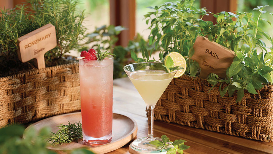 Dishes and drinks with ingredients sourced from the herb garden power up meeting attendees at JW Marriott Hotel Hong Kong, but also help save the environment.