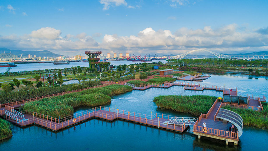 The 66-hectare Hengqin Mangzhou Wetland Park, boasting a diverse wetland ecosystem, presents an excellent venue for events focusing on sustainability, engineering, and environmental conservation.
