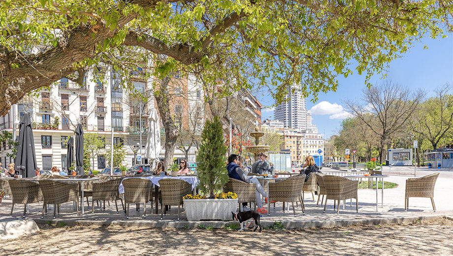 Madrid’s green spaces, parks, and thousands of trees enhance the quality of life for residents and offere a welcoming environment for visitors, including those attending events, meetings, or incentive trips.