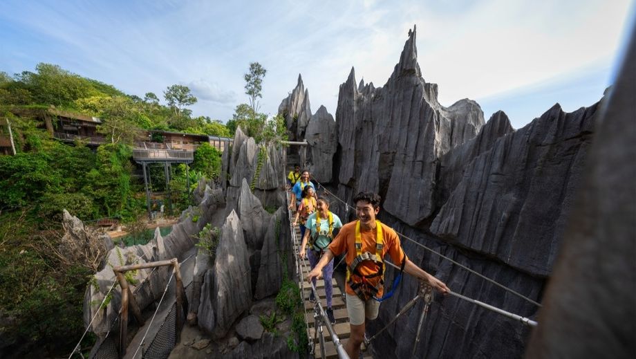 rainforest wild asia wild apex