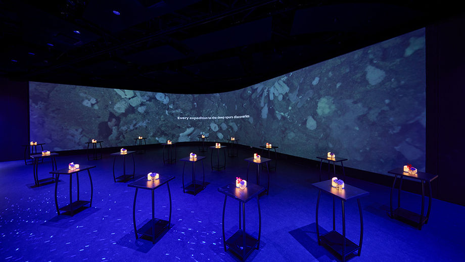 With 22 immersive aquatic zones and mood lighting technology, the Singapore Oceanarium enables organisers to creatively engage guests in various ambiences.