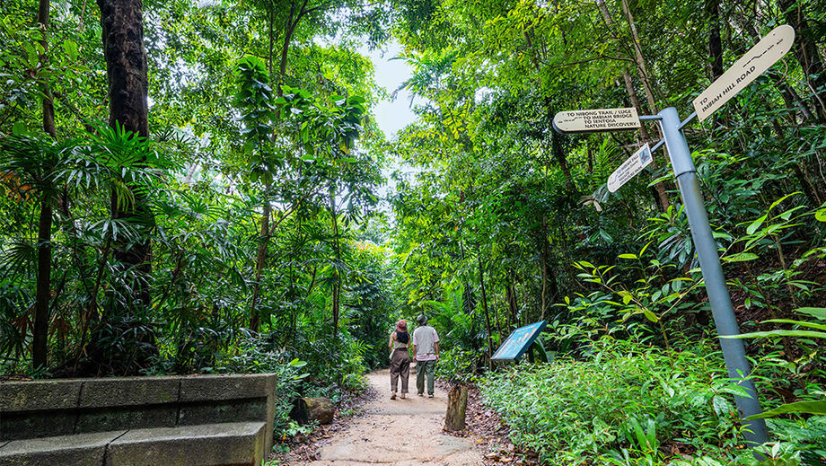 At GSTC2024, Singapore highlighted its sustainability efforts with an immersive trekking experience through Sentosa's nature trails to encourage delegates to reconnect with nature and learn more about biodiversity.