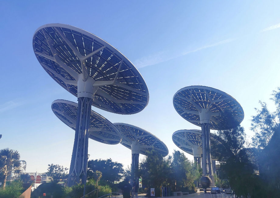 Solar-Sunflowers-credit AMI-221103 Solar-Sunflowers-credit AMI-221103