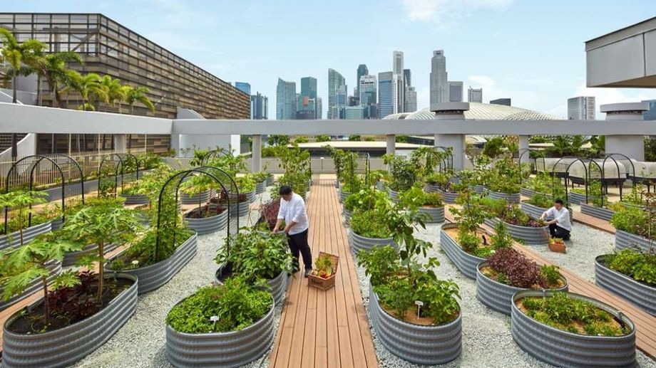 Parkroyal Collection Marina Bay Urban Farm