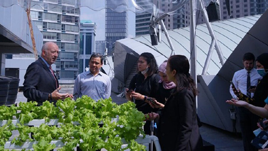 As part of its commitment to sustainability, Kuala Lumpur Convention Centre features a rooftop hydroponic farm, supplying fresh, healthy produce for meetings and events.