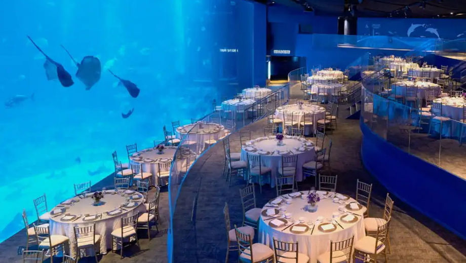 Immerse delegates in the captivating Ocean Gallery at S.E.A. Aquarium, which pairs exquisite dining with panoramic views of the underwater world.