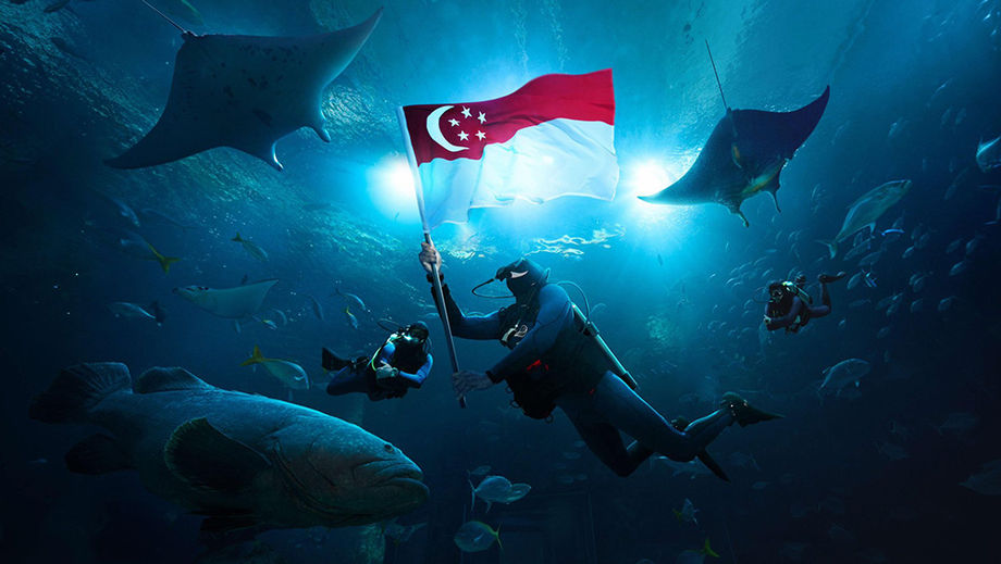 Go beyond the looking glass on a once-in-a-lifetime aquarium group dive. Credit: Oceanarium, Resorts World Sentosa