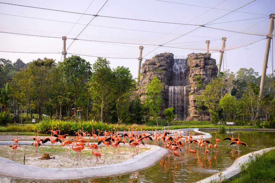 Mandai Wildlife Reserve's Bird Paradise offers groups informative keeper talks, wildlife encounters in eight aviaries, and spaces for seminars or product launches.