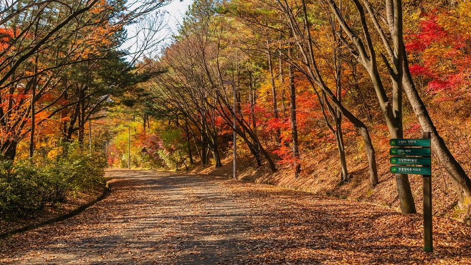 Corporate groups can reconnect in the great outdoors, with trekking, biking and kayaking available in the heart of Seoul.
