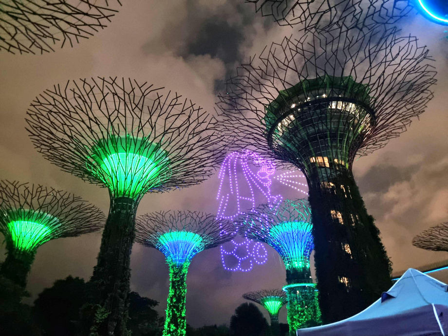 The spectacular drone show at The Supertree Grove unfolded with drones forming pictures in the night sky, narrating the WCD story, and honouring Singapore as the host destination.